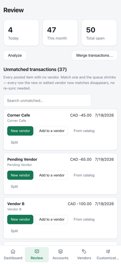 PBudget smart review flagging duplicates and large amounts